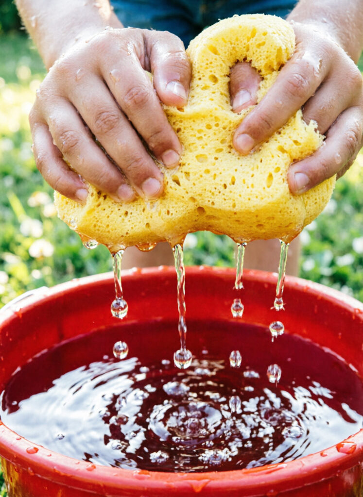 Sponge Bucket Relay