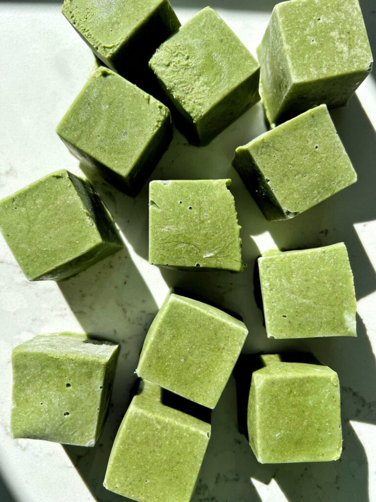 Pre-Packaged Smoothie Cubes
