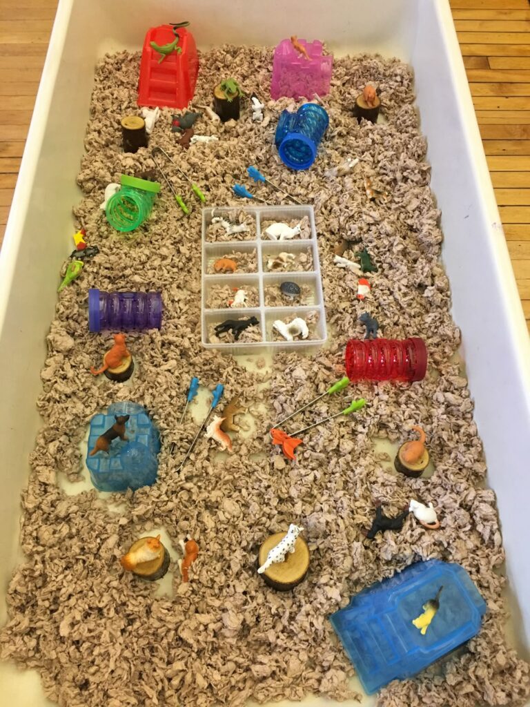 Animal Sorting